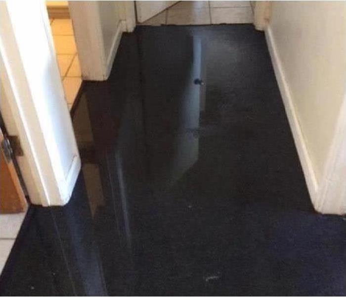 Standing Water in an Office